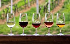WTSO-Five-Wines-For-Beginners